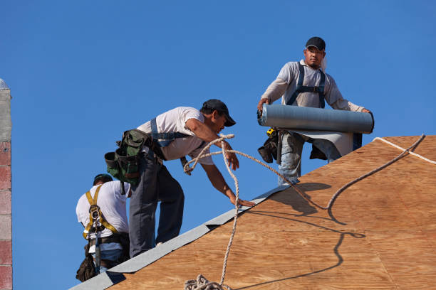 Best Roof Gutter Cleaning  in St Paris, OH