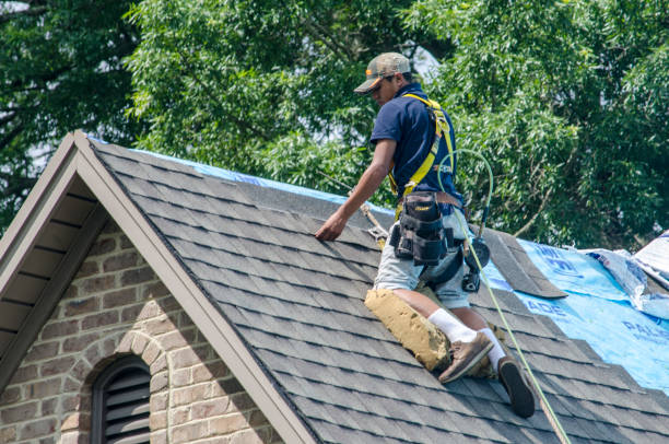 Best Metal Roofing Contractor  in St Paris, OH